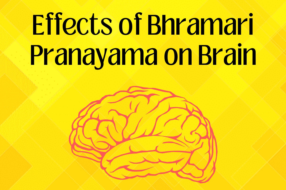 Effects of Bhramari Pranayama on Brain