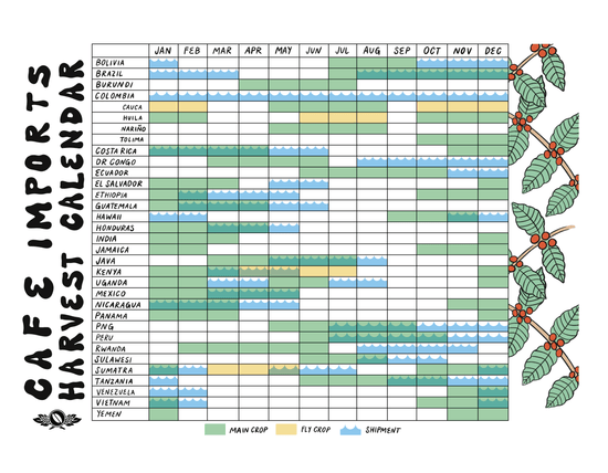 Coffee Basics: Coffee Seasonality - Tapestry Coffee