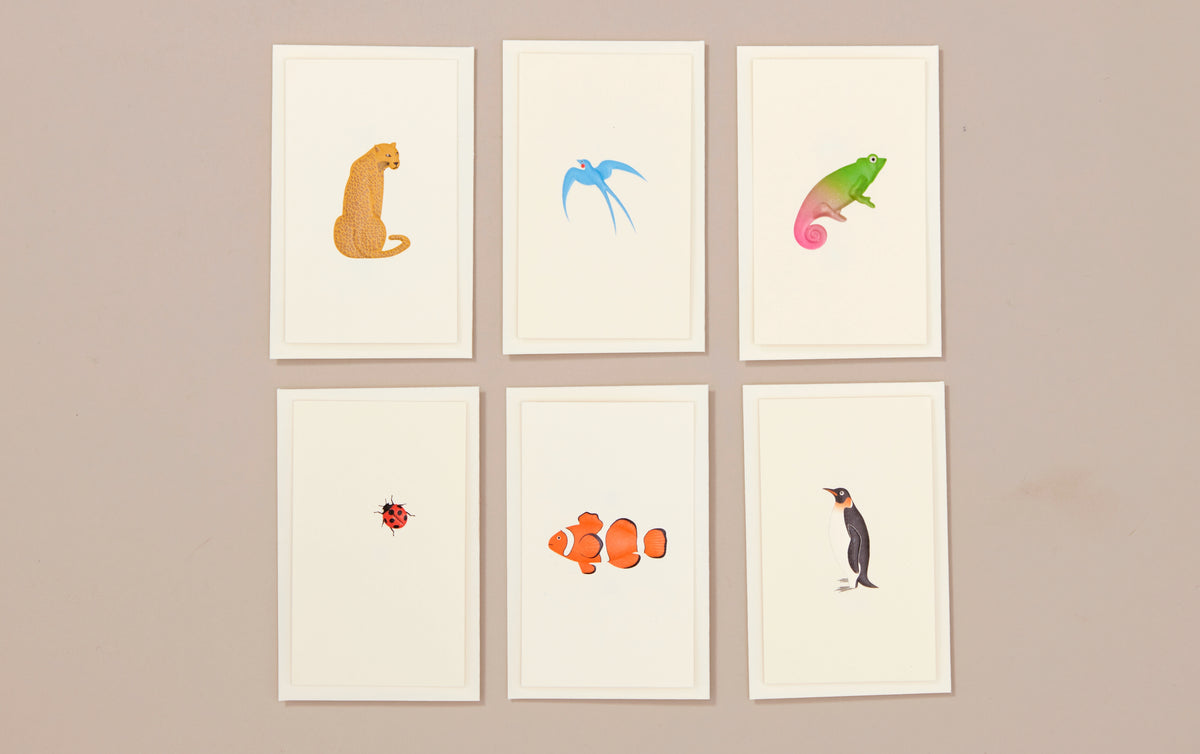 Fremy Speeddraw Stationery Cards