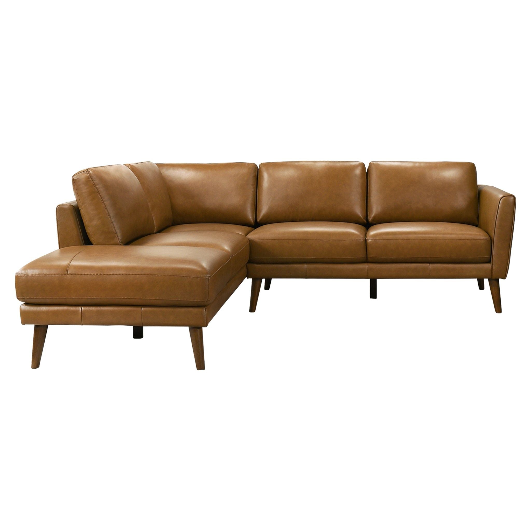Ashcroft Furniture - Benson - Sectional Sofa With Chaise image 10