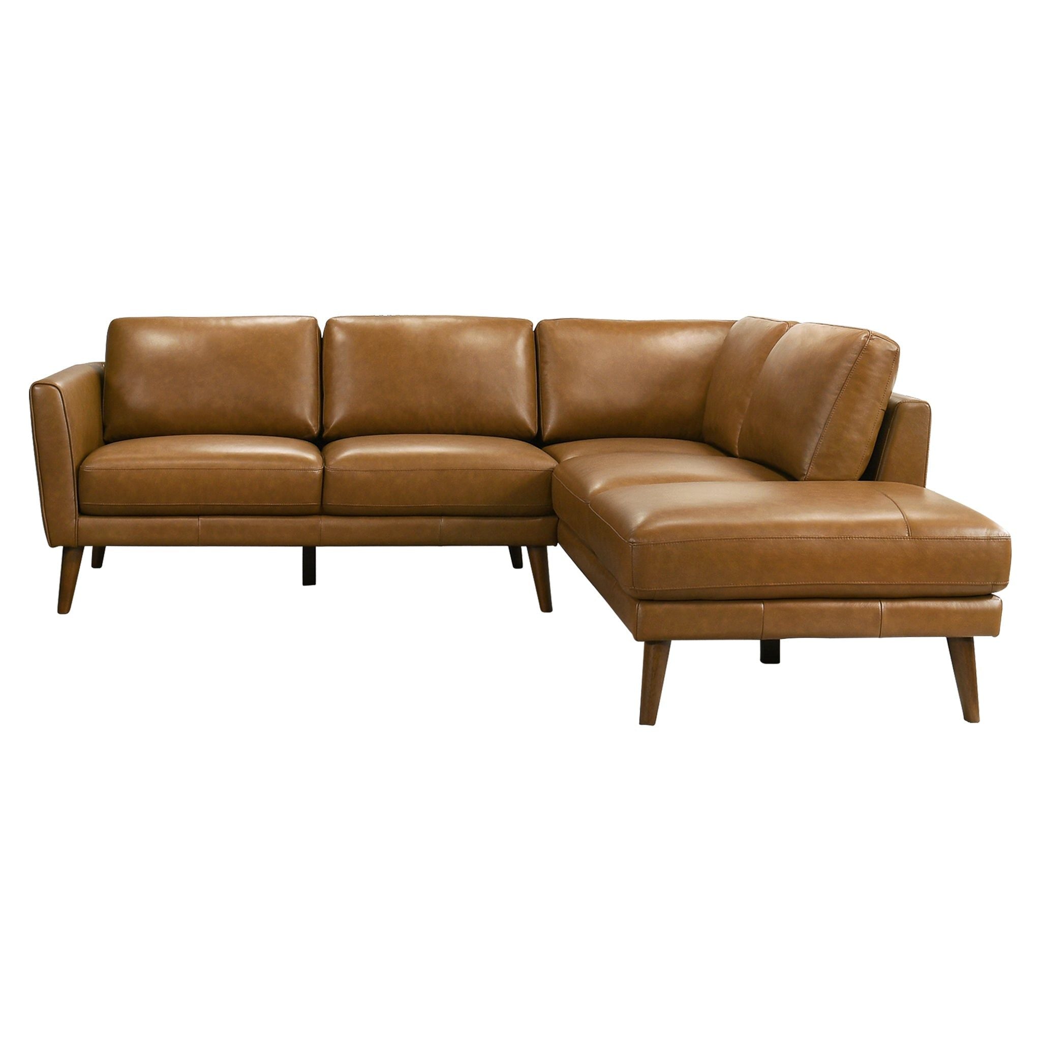 Ashcroft Furniture - Benson - Sectional Sofa With Chaise image 2