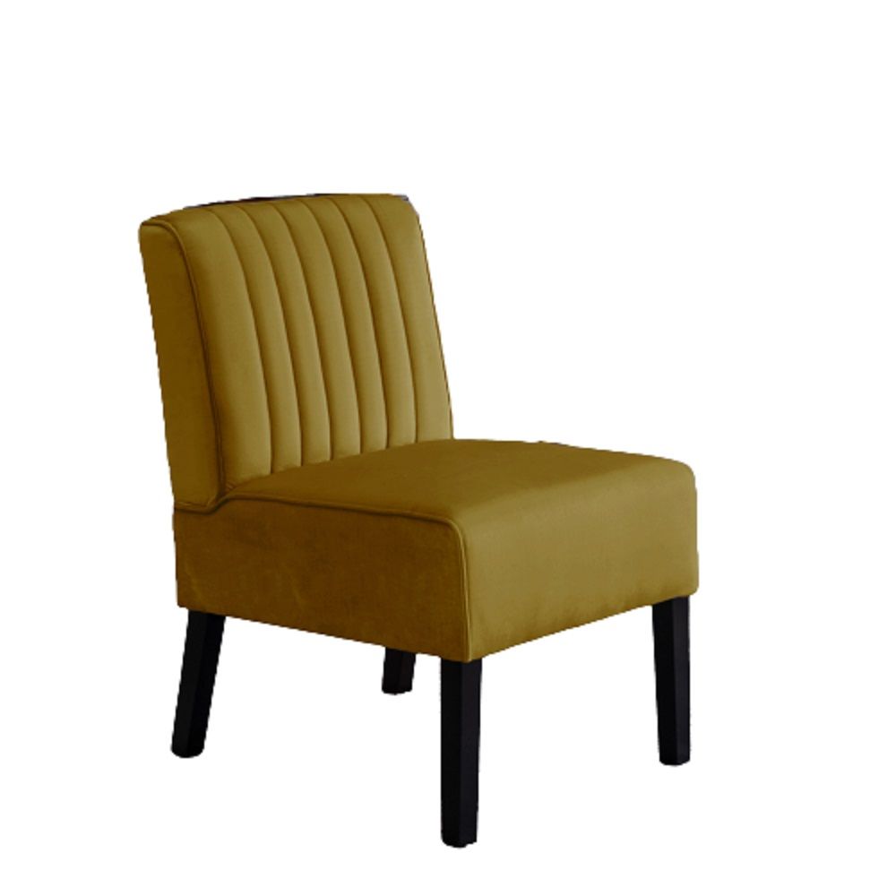 US Pride - Reese - Mid-Century Modern Accent Chairs With Minimalist Design (Set of 2) image 1