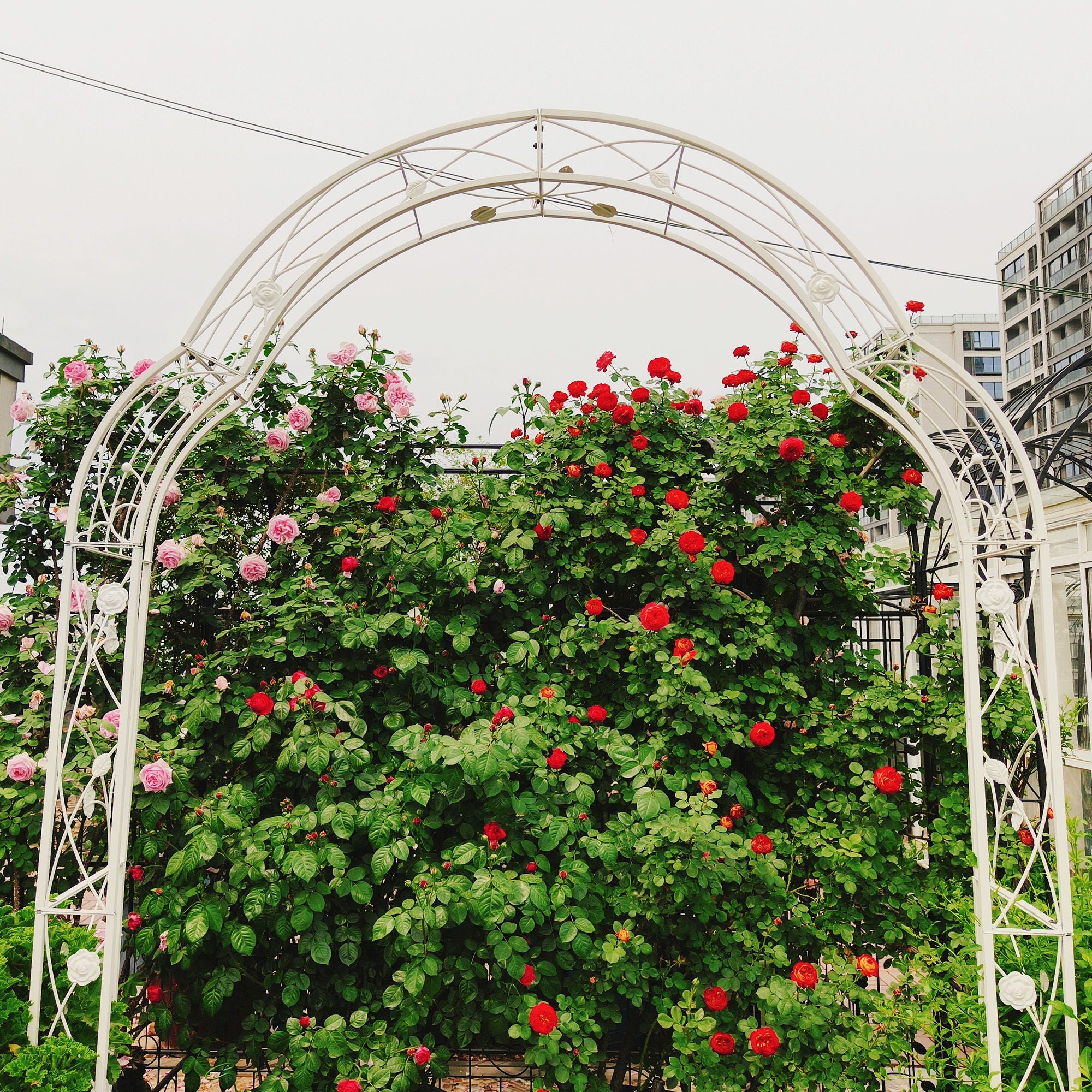 Garden Life - Metal Garden Arch Assemble Freely With 8 Styles Garden Arbor Trellis Climbing Plants Support Rose Arch image 8