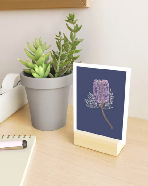 Pink and Purple Banksia Print by Jay Dee Dearness
