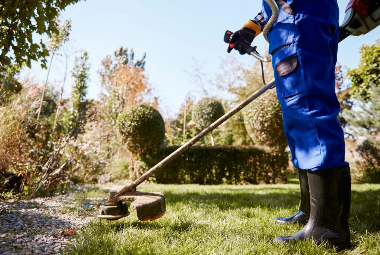 Jackery Générateur solaire pour l’entretien du jardin