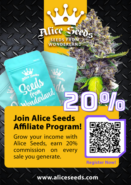 Alice-Seeds-blog
