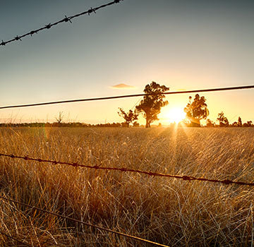 Barbed wire fencing on a farm