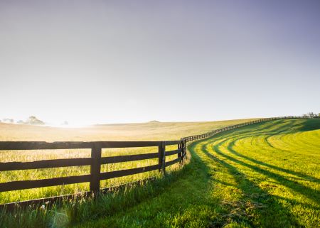 basic farm fencing in a sunny field