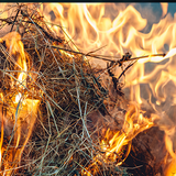 closeup of hay burning