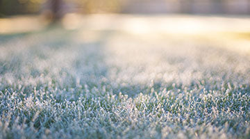 grassy lawn with a layer of icy frost