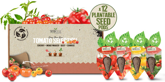 Mixed Tomato SeedCell Selection Box