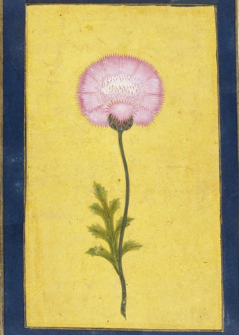 Indian Miniature Paintings Mughal Floral