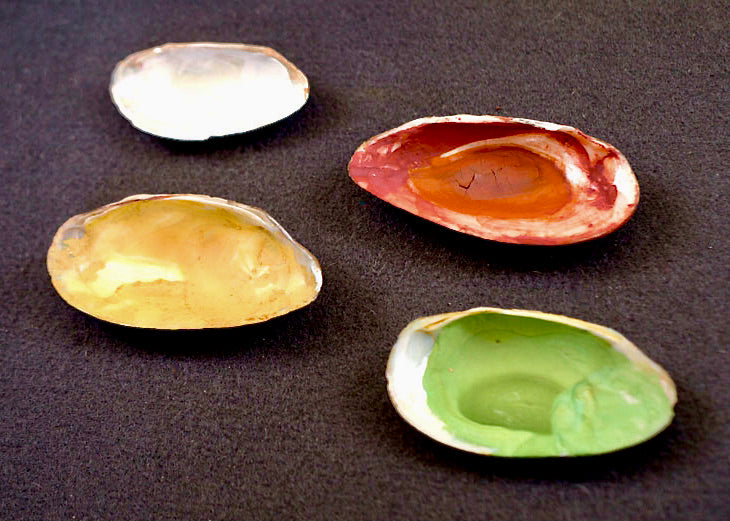 Indian Miniature paintings: mixed/extracted colours are stored and used out of a shell. (by Lai)