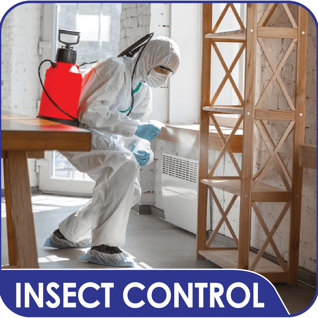 Win Bachat - Insect Control