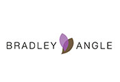 bradley-angle