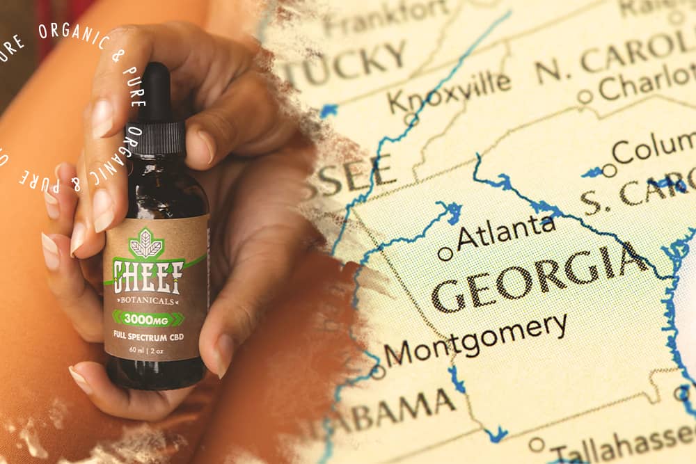 cbd oil against georgia map
