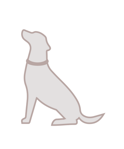 Messanleitung Halsband - Maß am sitzenden Hund