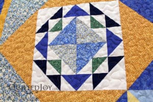 Applique Block of the Month Quilt