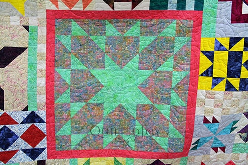 JoAnna's 182 Day Solstice Challenge Sampler Quilt