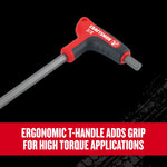 Graphic of CRAFTSMAN Screwdrivers: Hex Keys highlighting product features