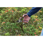 3 quarter inch cut forged bypass pruner being used by a person to prune a branch.