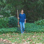 22 inch tine wood handle lawn rake being used in a lawn.