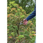 3 quarter inch cut forged bypass pruner being used by a person to prune a branch.