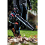 B2500 27 CC 2 cycle gas leaf blower being used.