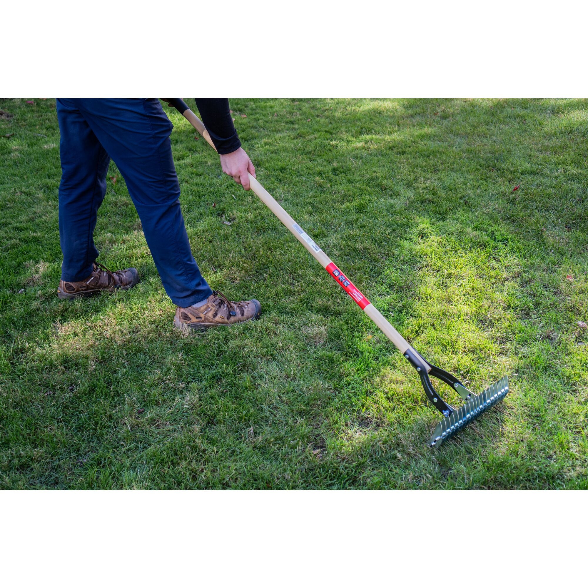 Long Handle Steel Lawn Thatch Removing Rake with wood handle and cushion grip, in action raking