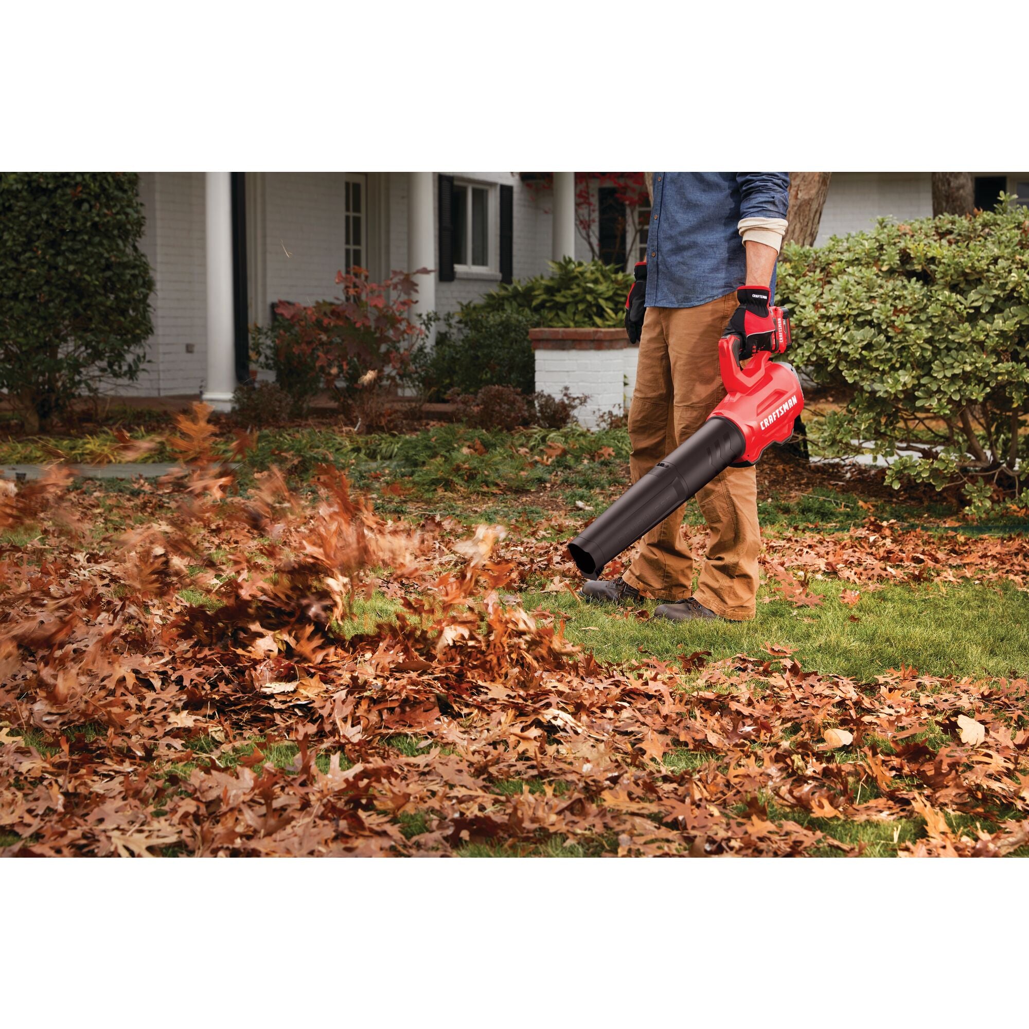 Brushless cordless axial blower being used for cleaning dead leaves from lawn.