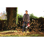 Brushless cordless axial blower kit 4 amp hour being used for cleaning dead leaves from lawn by person.