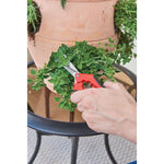 Garden snips being used by a person to cut small household plant.