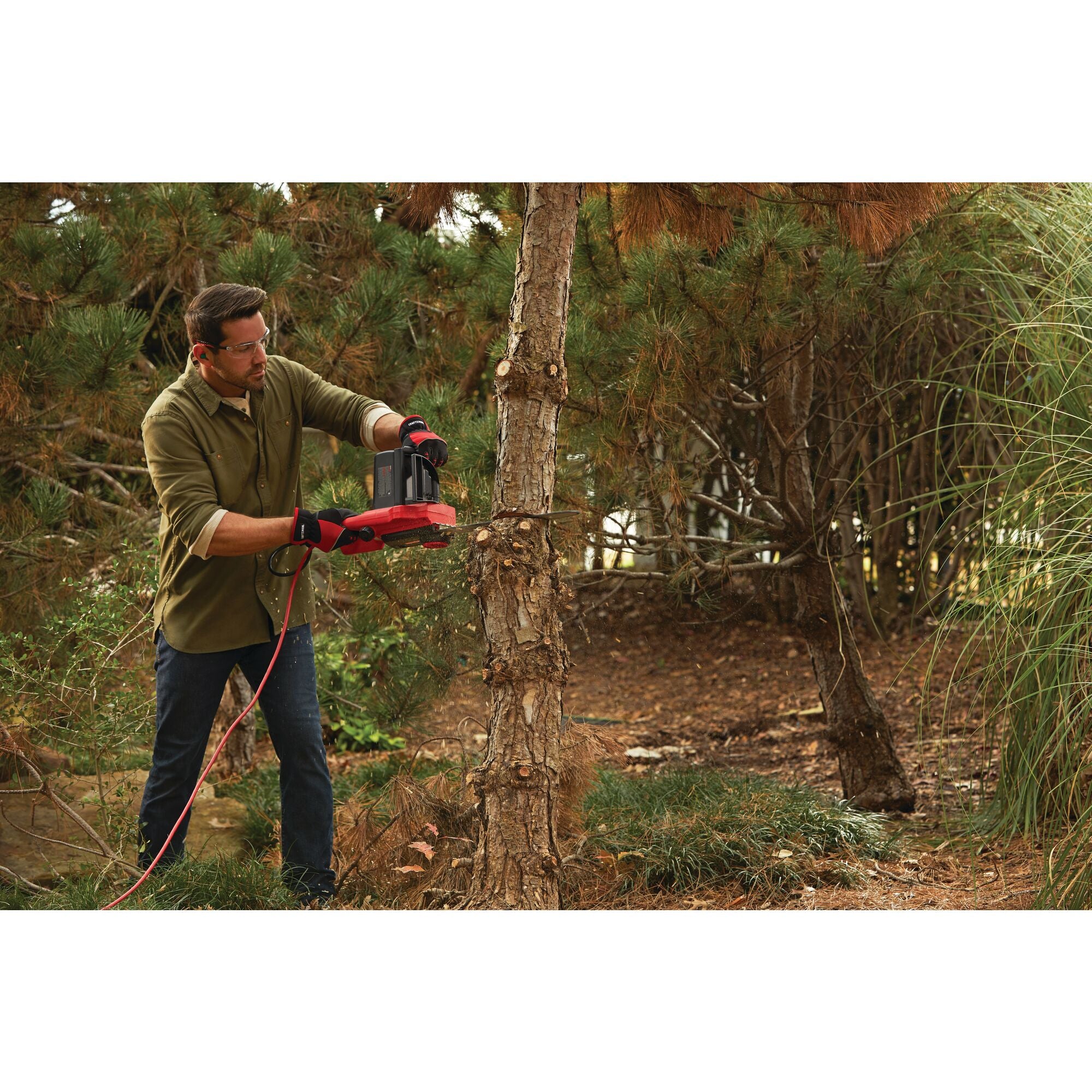 View of CRAFTSMAN Chain Saws  being used by consumer