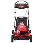 21-in. 163cc RWD Gas Self-Propelled Push Mower (M310)