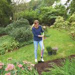 Wood handle turf edger being used.