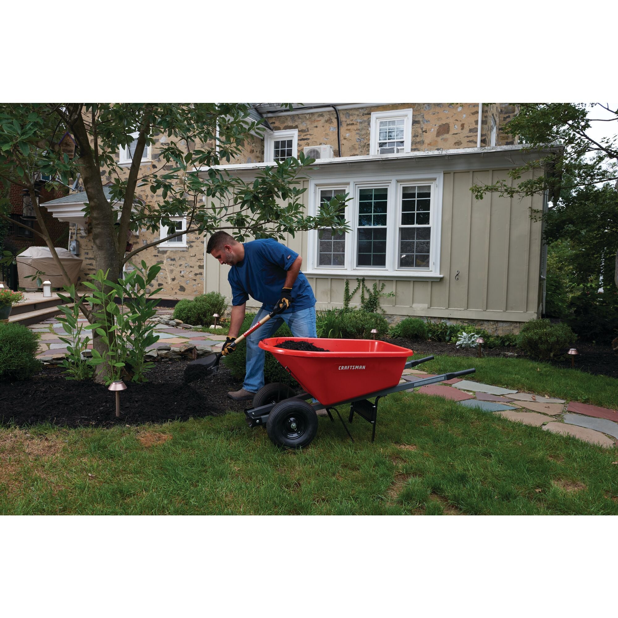 Wood handle transfer shovel being used to shovel dirt into a wheelbarrow by a person.