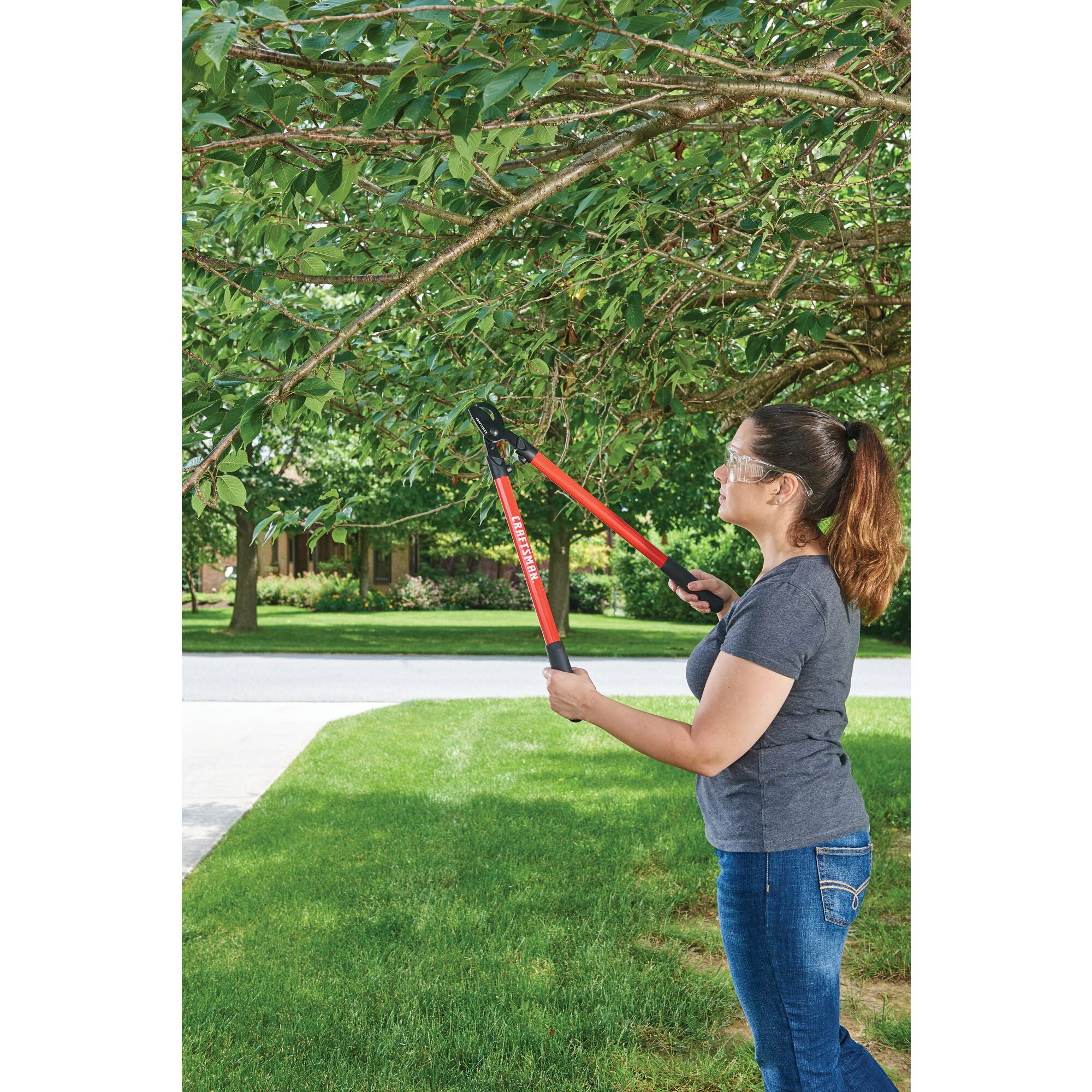 Bypass lopper being used by a person to trim a tree.