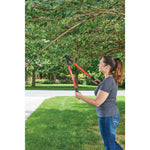 Bypass lopper being used by a person to trim a tree.