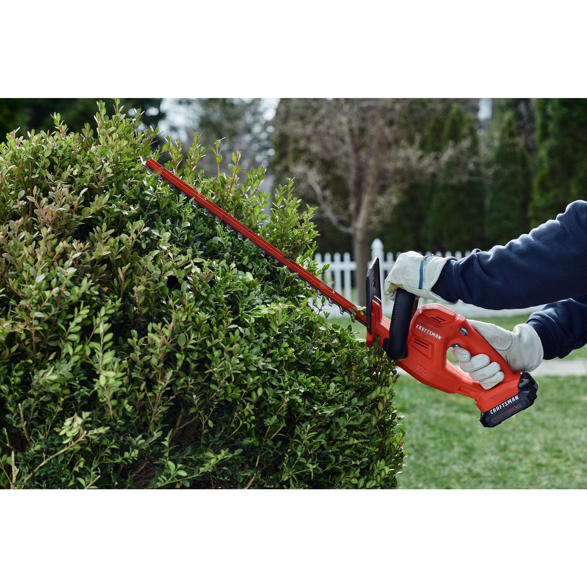 View of CRAFTSMAN Hedge Trimmers  being used by consumer