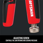 Graphic of CRAFTSMAN Pliers: Locking highlighting product features