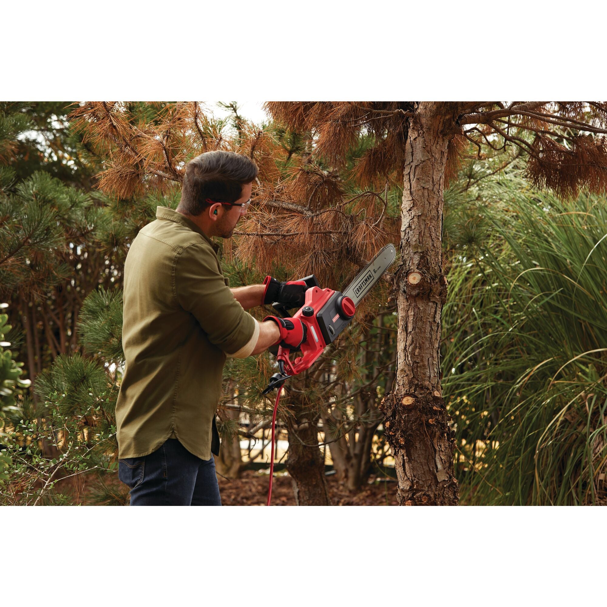 View of CRAFTSMAN Chain Saws  being used by consumer