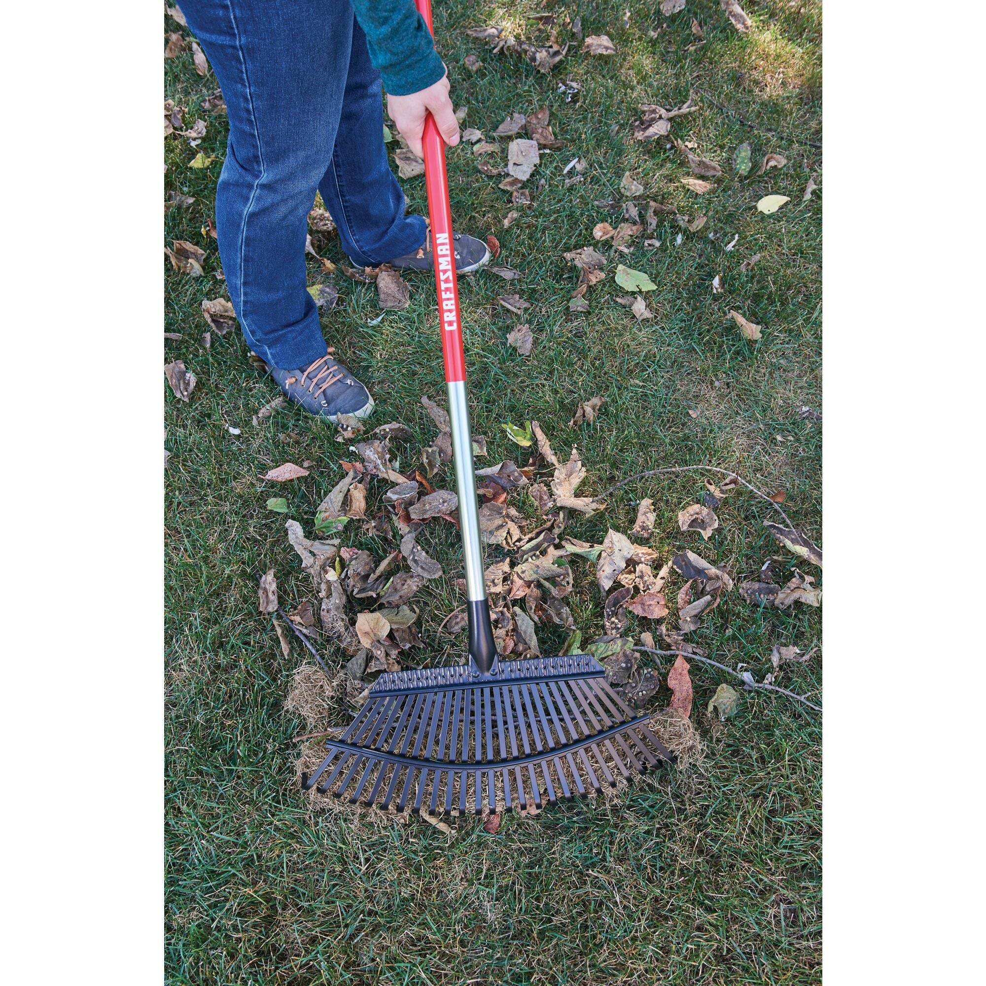 25 tine aluminum handle lawn rake being used to rake leaves from the ground.