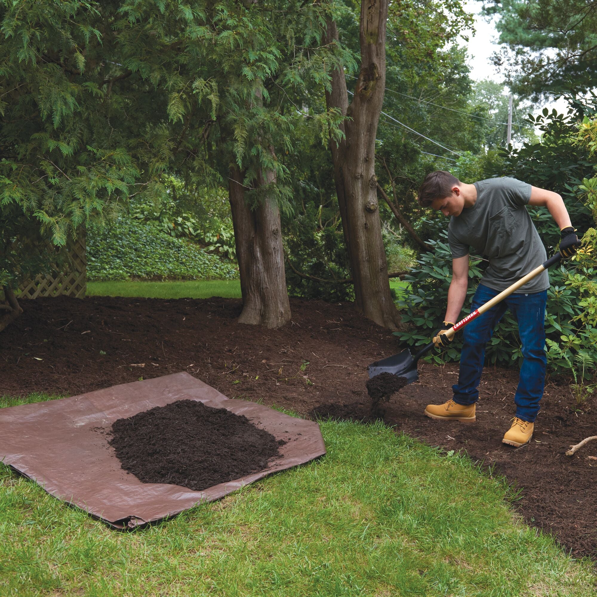 Wood handle transfer shovel being used by a person.