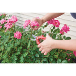 5 eighths inch cut bypass pruner being used by a person to prune a household plant.