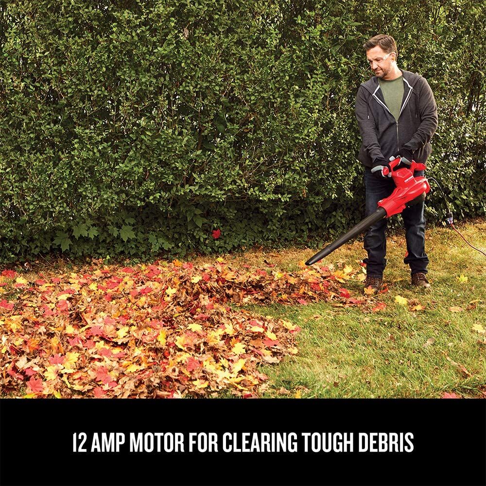 Graphic of CRAFTSMAN Leaf Blowers highlighting product features