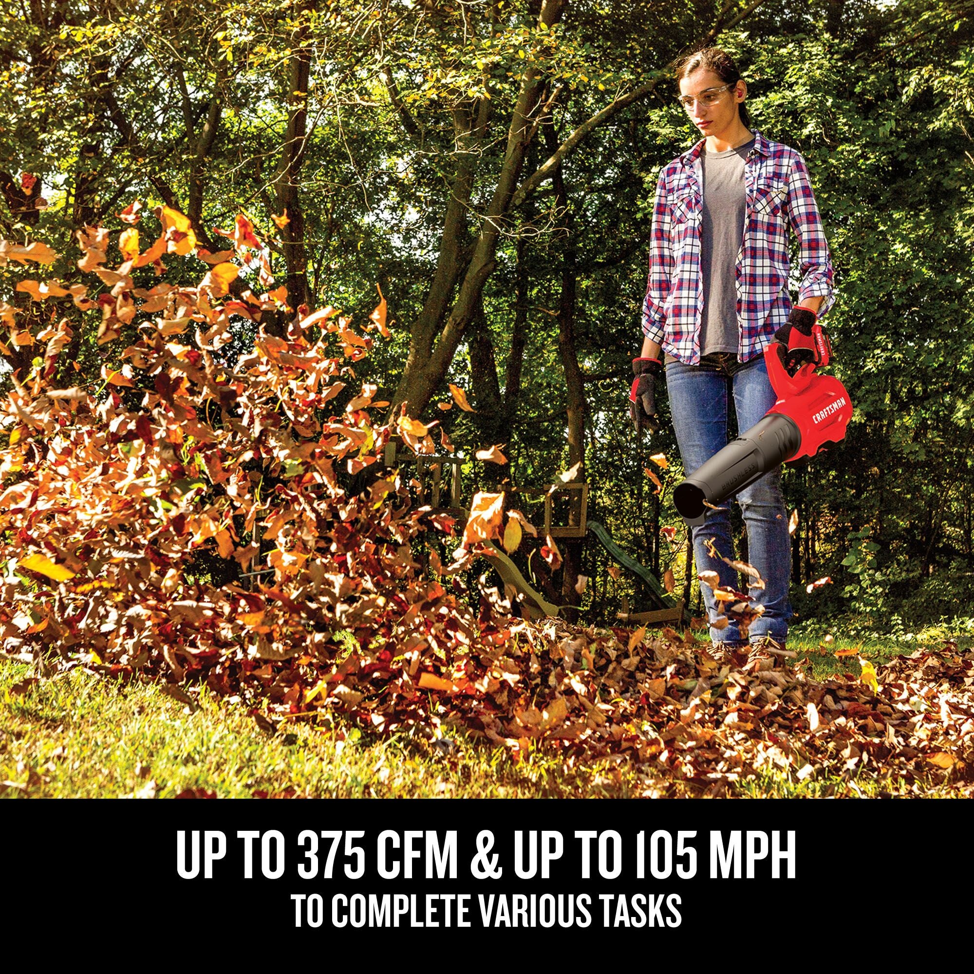 Graphic of CRAFTSMAN Leaf Blowers highlighting product features