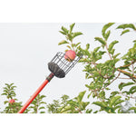 Fruit harvester being used to harvest fruits from a tree.