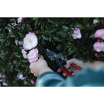 Aluminum bypass hand pruner being used by a person to prune a branch.