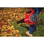 View of CRAFTSMAN Leaf Blowers  being used by consumer