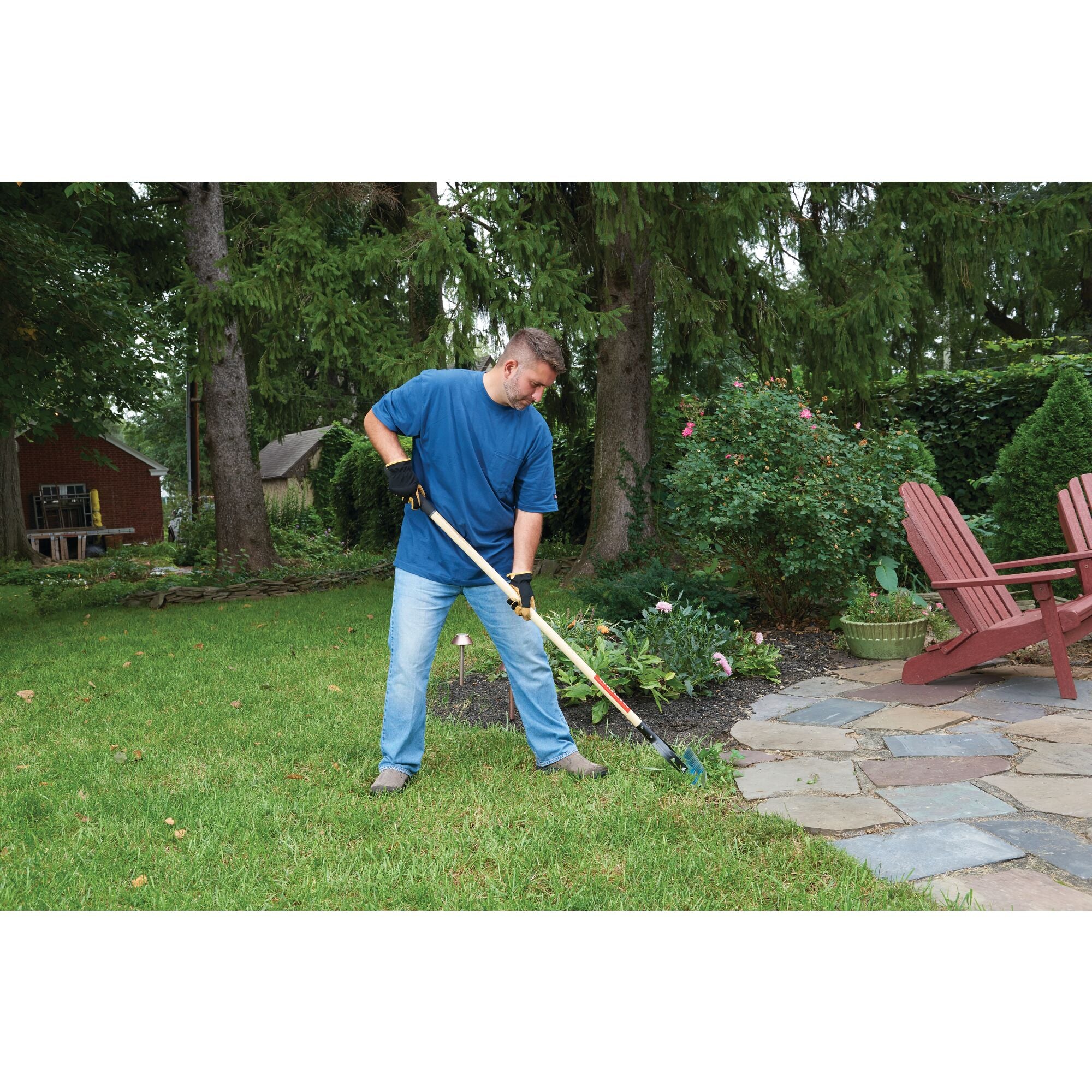 Wood handle thatching rake being used by a person.